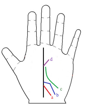 手纹算命图解智慧线_手纹婚姻算命图解_手纹图解算命
