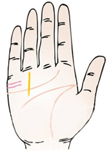 手纹婚姻算命图解 女人婚姻之手相图解