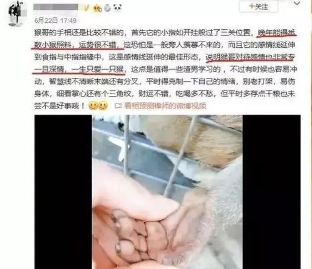 风水命理预测入驻平台有哪些_弘易堂命理预测 命宫无主星_弘易堂命理预测