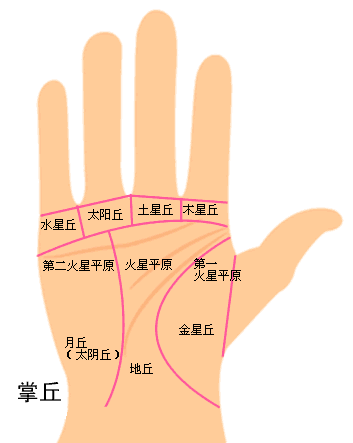 女人看手相算命图解怎么看手相从前的手相看法是，男人看右手