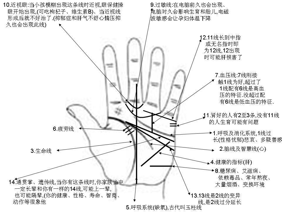 财运线是什么手相中的掌纹代表很多不一样含义