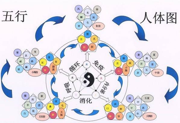 风水堂：教你如何利用数字能量预测将要发生的事