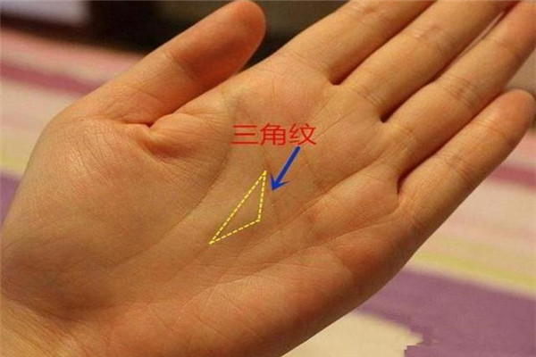三角纹在手，富到九十九，你知道吗？