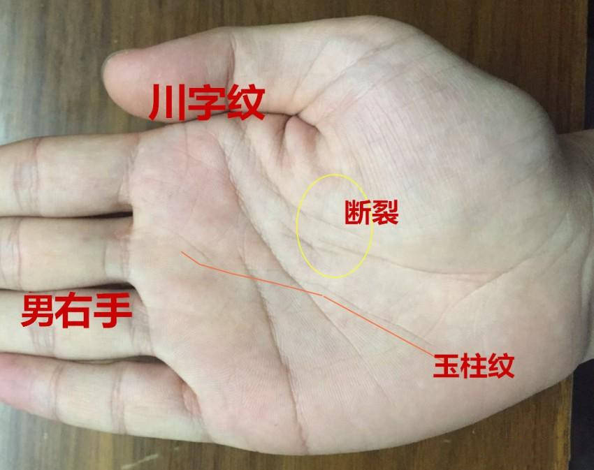男人川字掌手纹代表什么？手相学上多认为