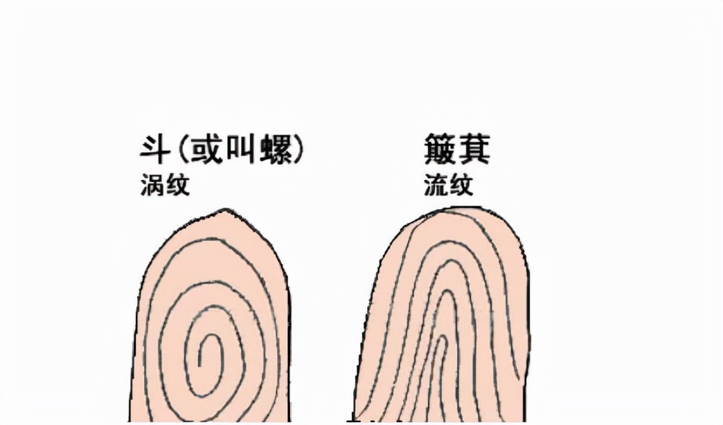 这10个“螺”有什么好炫耀的？99%的人不知道！