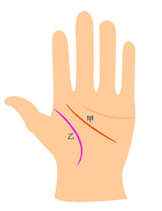 什么样的手相的人在手相上有什么特徵?