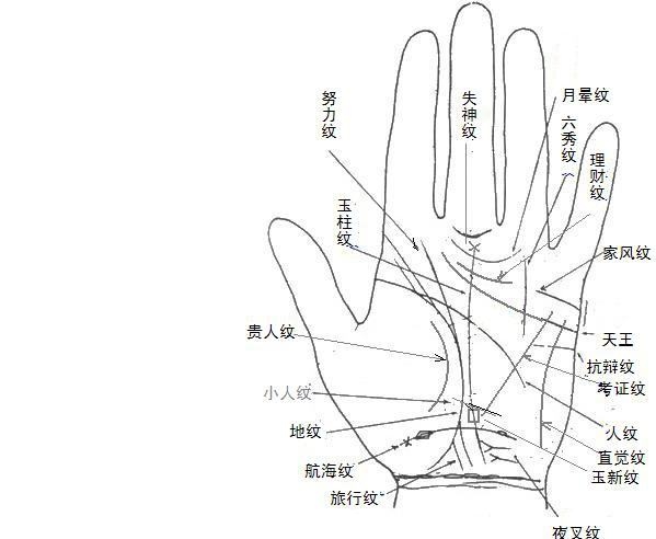 男人左手手相有什么样的解析呢?