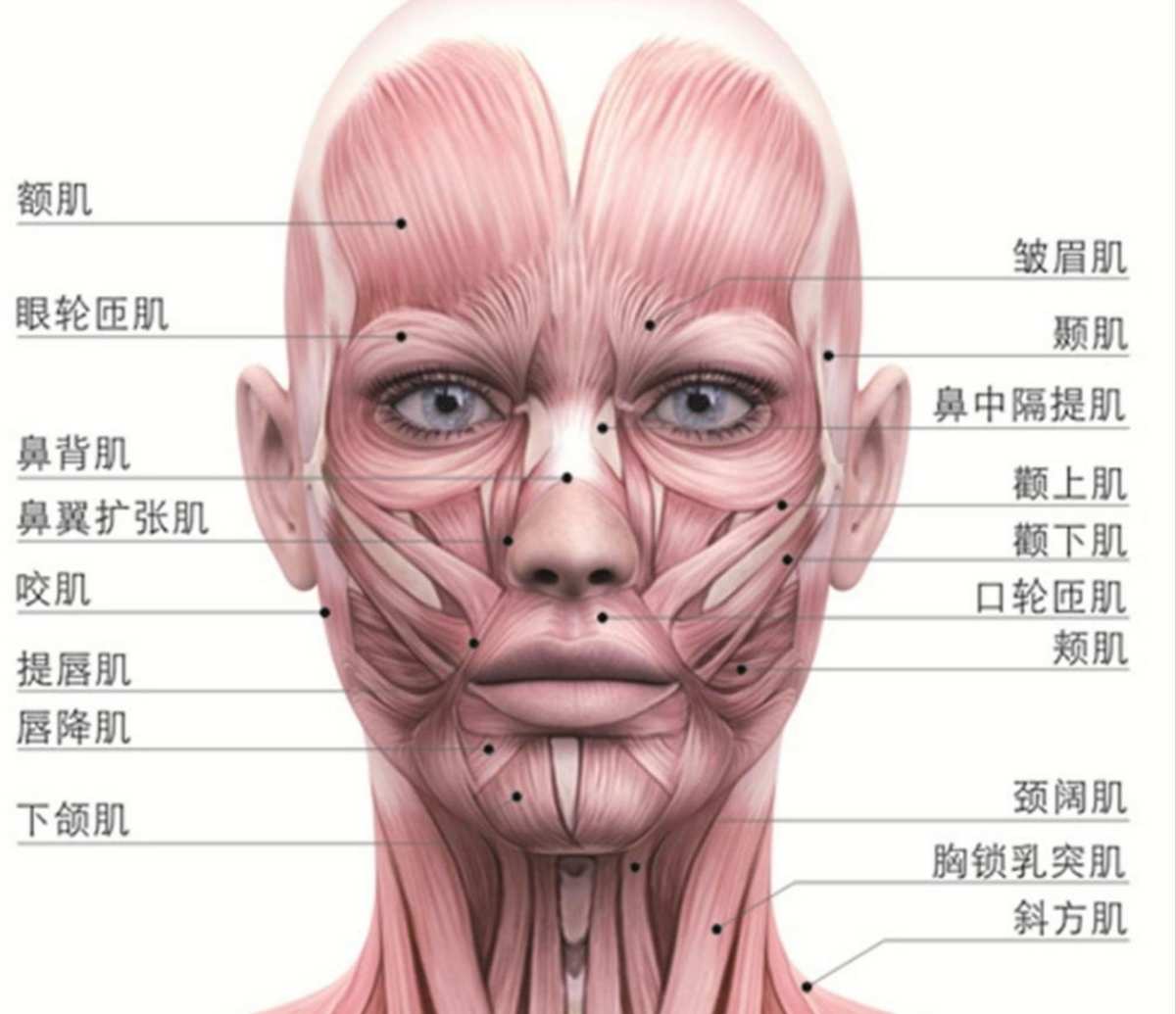 风水堂：面部痣的位置与命运