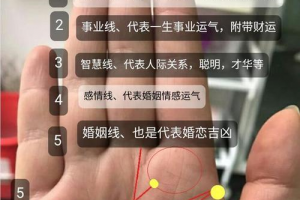 男人女人都一样,事业线也叫智慧线,也就是我们手掌中三条主线中间的