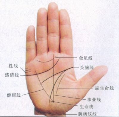 生命线图解女右手详解，你的手相是哪种？