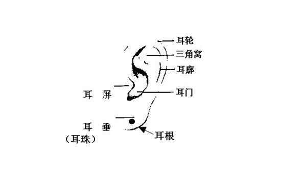 男人耳朵看相图解，看自己的人生轨迹和一些易学知识