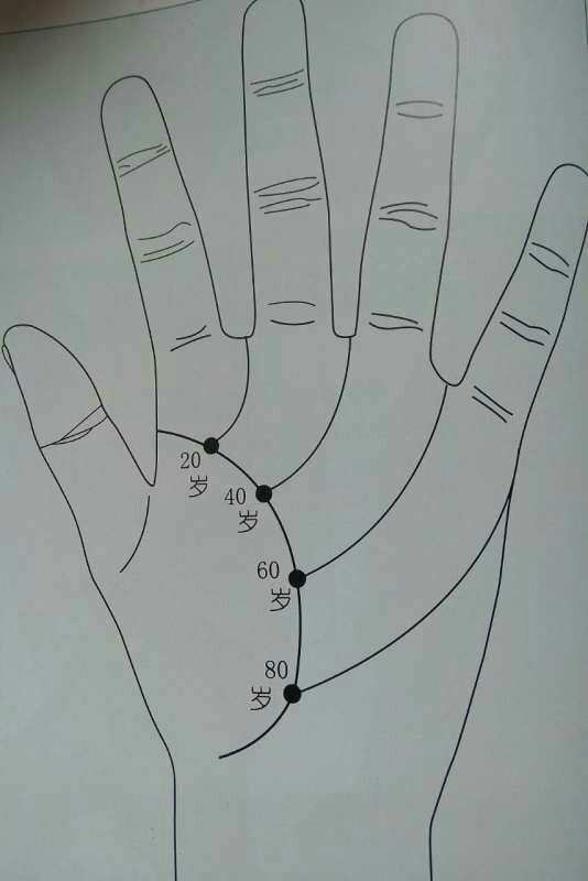 快速找答案：手相像树叉代表什么
