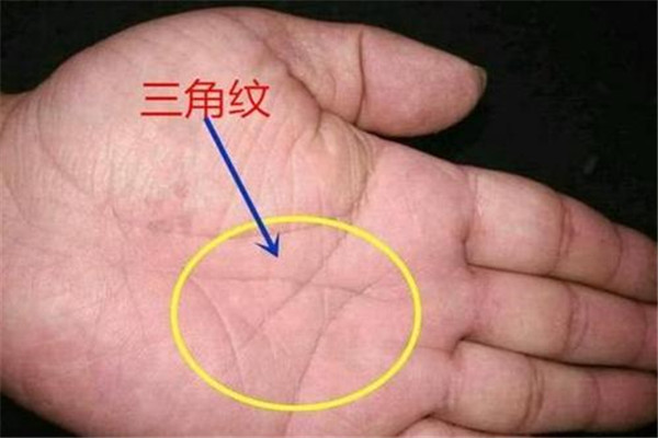 左手有三角纹意味着什么？它代表什么意义？