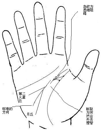 手相智慧线分叉的人多数多才多艺是不是真的？