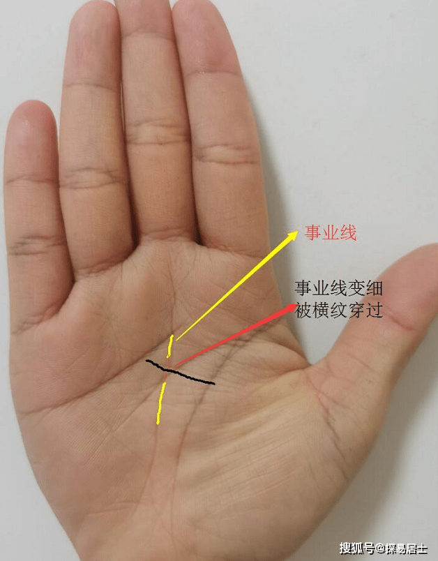 手相事业线很长代表什么，你知道吗？