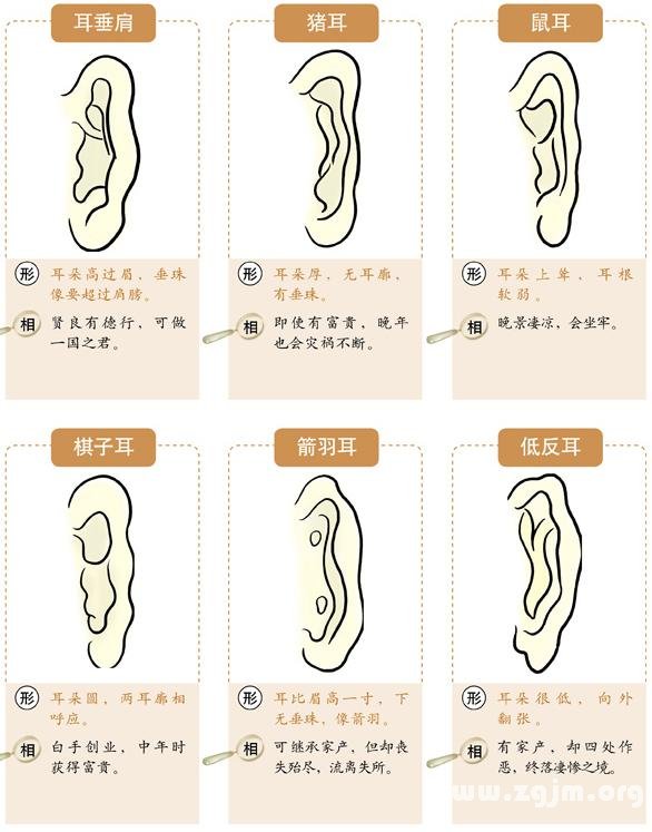 （李向东）耳朵形状与命运图解，你知道吗？