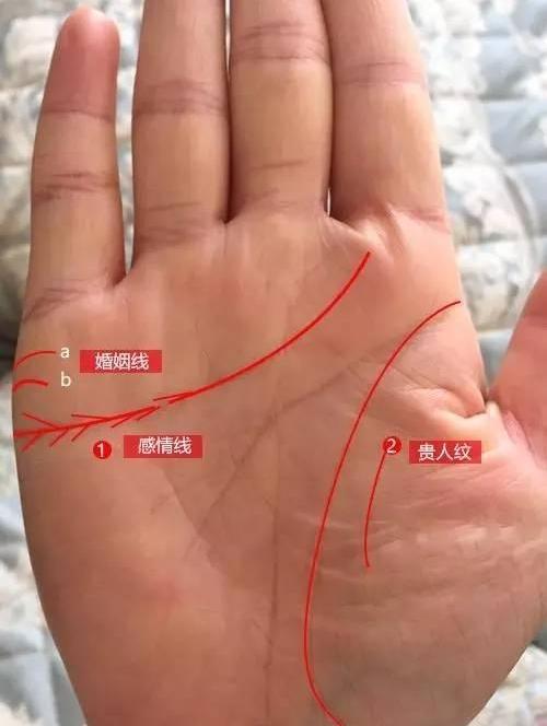 风水堂:男人手掌婚姻线图解三条