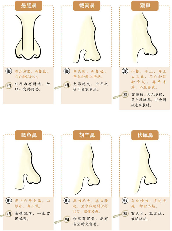 在线扫一扫测手相，掌丘具有弹性丰满的手相