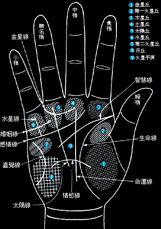 风水堂：从掌纹形状和线条入手