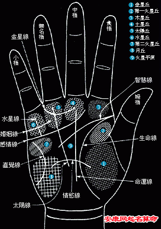 夫妻面相脸型配对,面相分析夫妻关系好不好