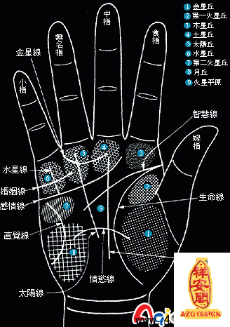 夫妻面相脸型配对,面相分析夫妻关系好不好