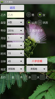 夫妻生辰八字合婚免费测试