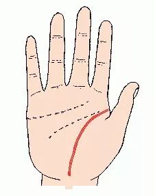 天津掌纹医学研究所：掌纹中生命线显示的健康知识