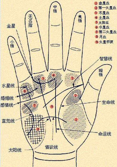 手相预知你的命运