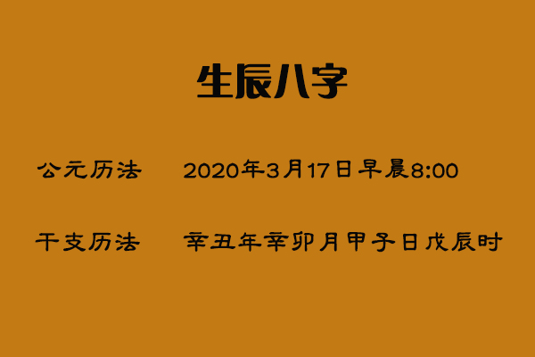 2005年11月8日亥时生辰八字用神参考！