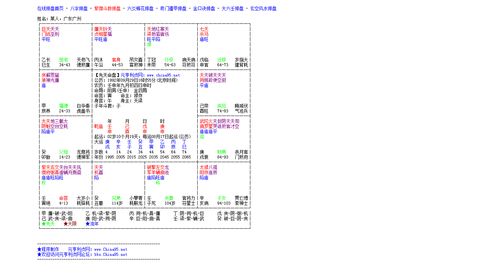 紫微命盘详解(免费版)