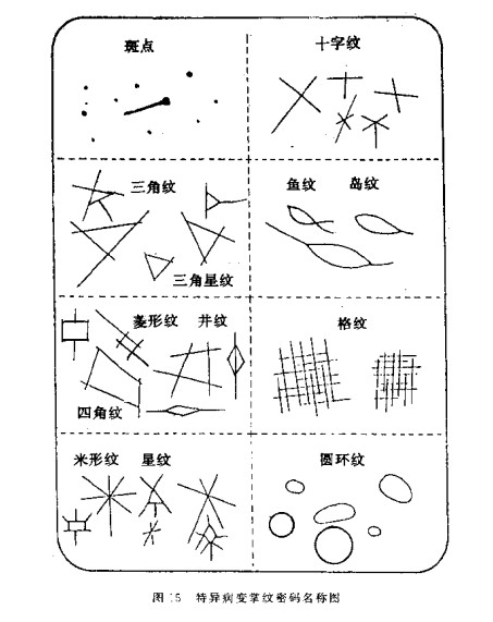 手纹风水堂:手相学历久不衰?