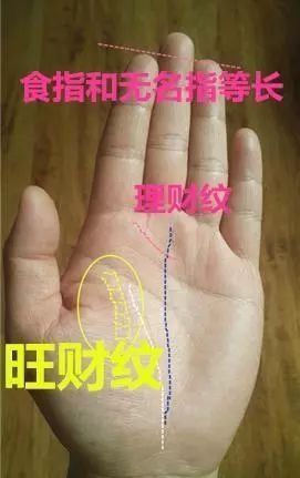 （李向东）手相中的财富纹，你知道吗？