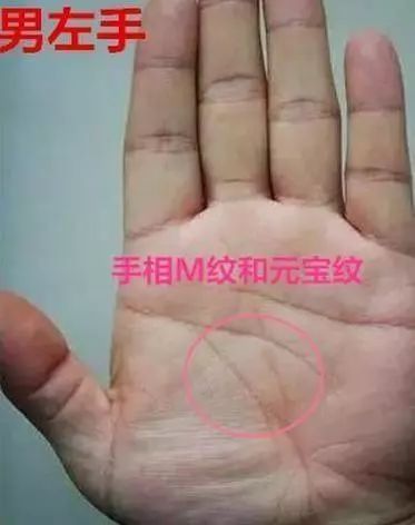 （李向东）手相中的财富纹，你知道吗？