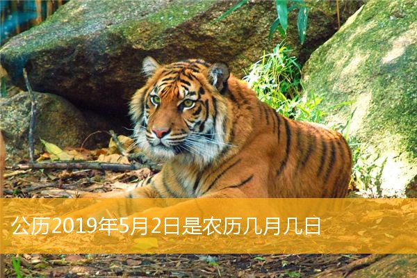 2020年12月份开业黄道吉日查询！！