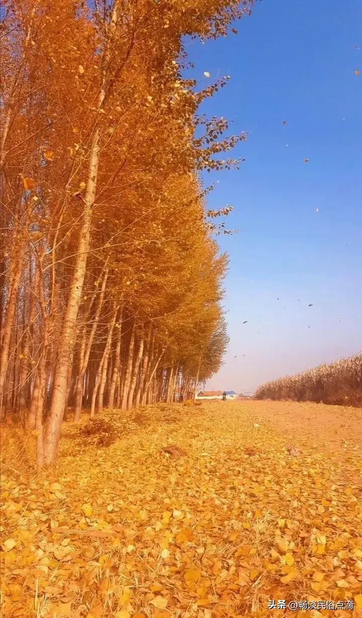 预测来年粮食丰收与否，是不是个好年景？