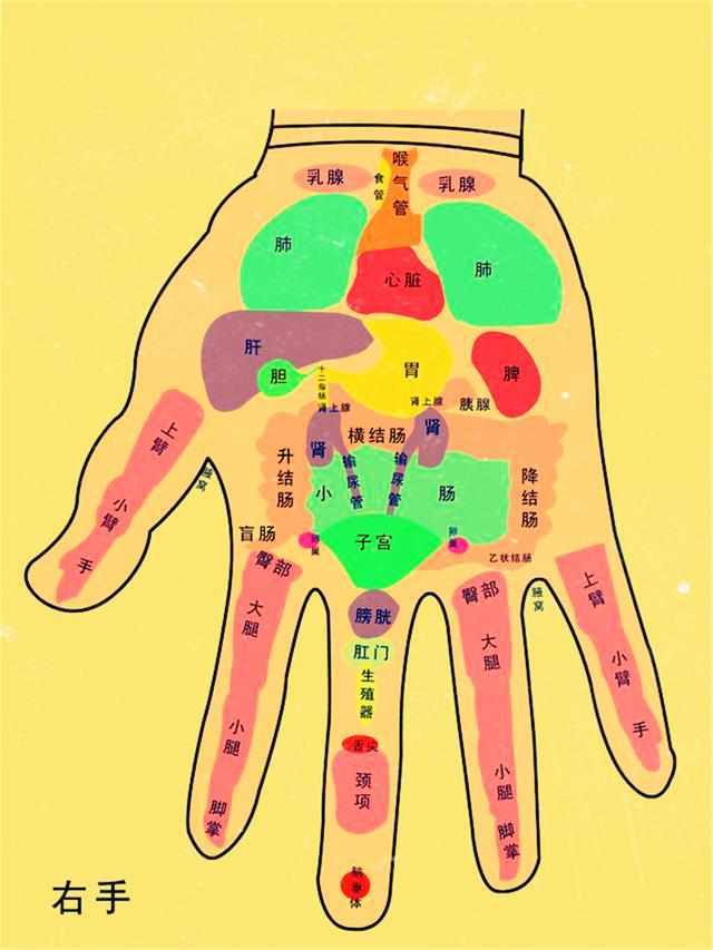 手有断掌纹，你知道吗？