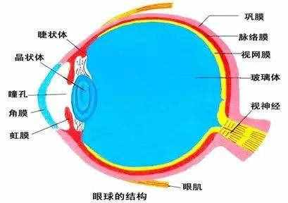 不同部位肉跳吉凶如何化解？看完你就知道了