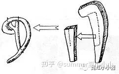 把耳朵薅出来摩擦鞭打，真的是颜值丑点吗？