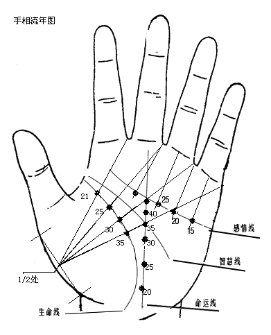 男女通用的简易手相图解最详细的女人手相实践篇