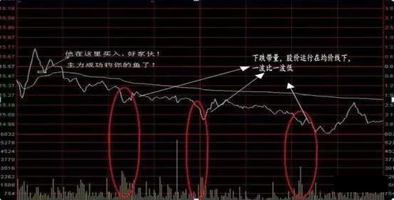 越声研究：为什么那么多人沉湎于资本市场？