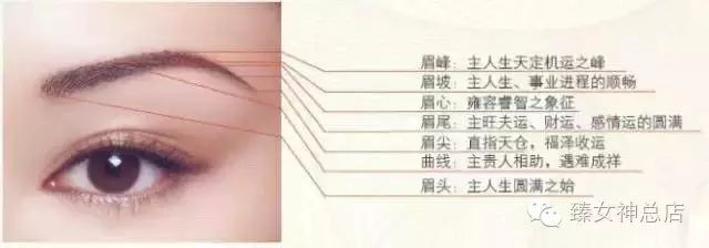 眉相学：女人眉峰高低影响运势，浓淡清杂也有讲究